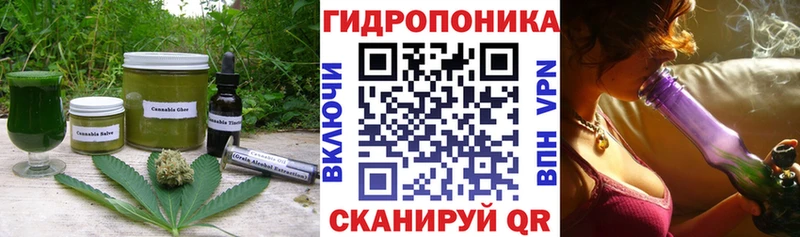 Canna-Cookies конопля Сорочинск