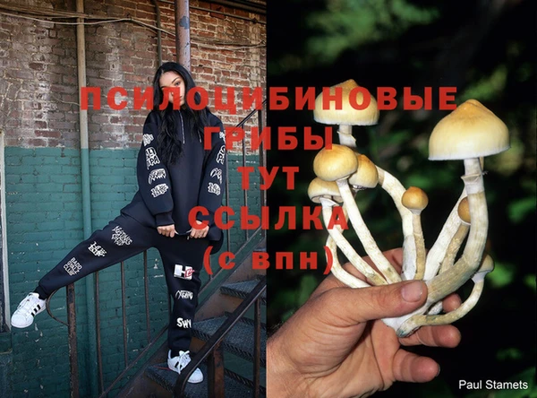 тгк Алексеевка